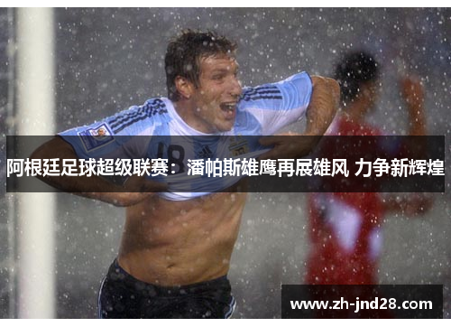 阿根廷足球超级联赛：潘帕斯雄鹰再展雄风 力争新辉煌