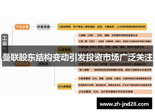 曼联股东结构变动引发投资市场广泛关注 曼联股东结构变动引发投资市场广泛关注